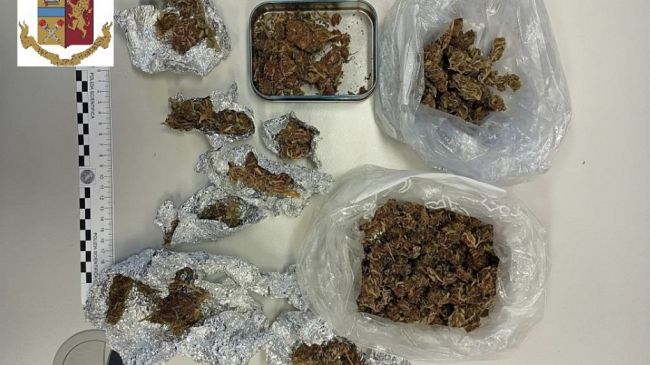 Alcamo, la Polizia arresta pregiudicato per detenzione ai fini di spaccio di marijuana