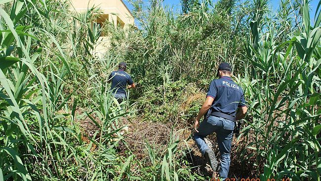 marsala-scoperta-piantagione-di-marijuana-la-polizia-arresta-due-giovani-del-luogo