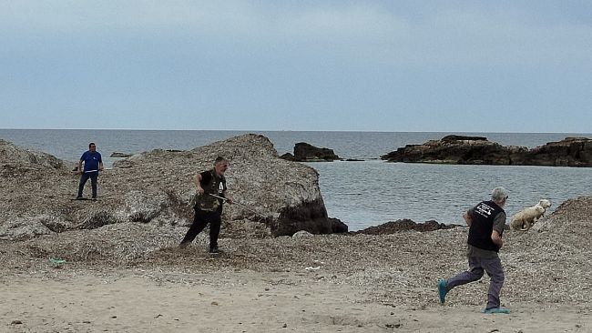 Marsala. Lotta al randagismo. Prelevamento di alcuni animali aggressivi presenti sul territorio 