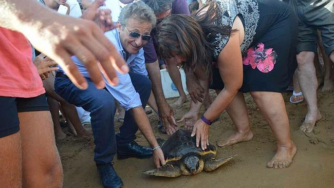 Oltre mille presenze per la liberazione delle due tartarughe Caretta caretta dal mare di Triscina
