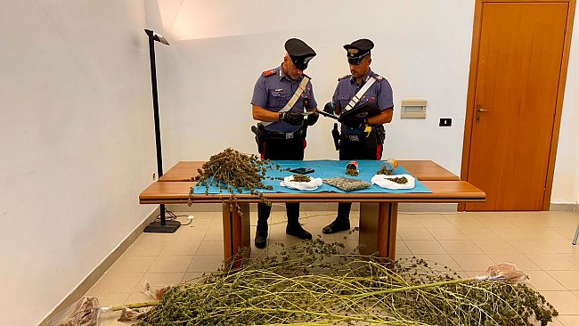 Marsala, 59enne arrestato per produzione e spaccio di marijuana