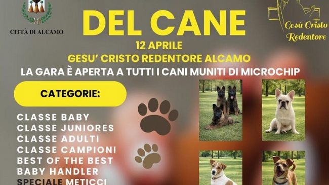 ad-alcamo-il-sesto-meeting-del-cane