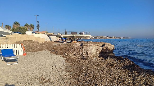Mazara, cumuli di alghe nell’arenile di San Vito. “Non è una spiaggia di serie B”                                       
