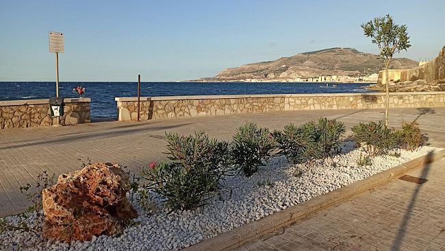 Trapani, rispettare le nuove aiuole di viale delle Sirene è un dovere civico