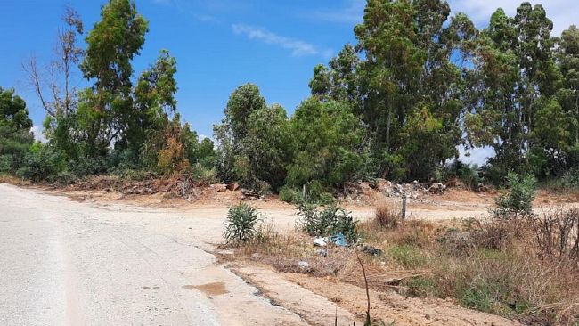 Restyling per l'illuminazione e pulizia straordinaria a Triscina  