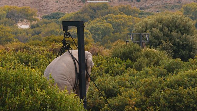 prima-domenica-del-mese-a-ingresso-gratuito-a-selinunte