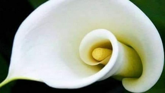 Ultime della sera: “Antropologia Organizzativa”