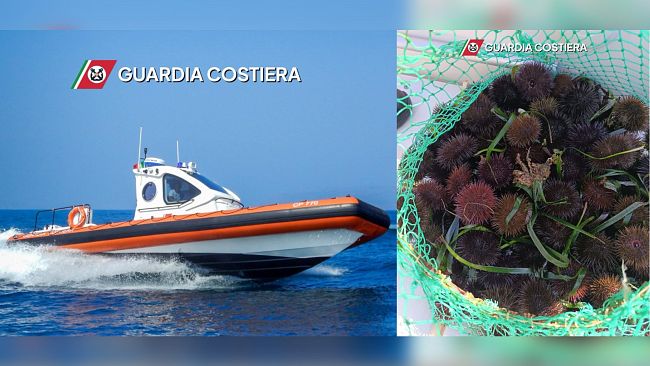 guardia-costiera-sequestra-ricci-di-mare-nel-tratto-antistante-limboccatura-del-porto-di-trapani
