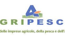 Agripesca Sicilia. Scilla: “Bene autorizzazione regionale sulla pesca al cicirello e rossetto”.