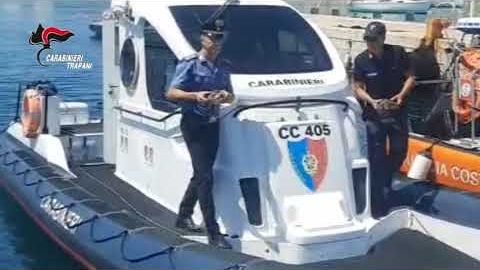 favignana-i-carabinieri-salvano-quattro-tartarughe-in-difficolta-nel-mare-delle-egadi