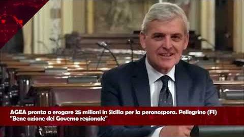 PRIMANEWS TG del 18 Dicembre 2024