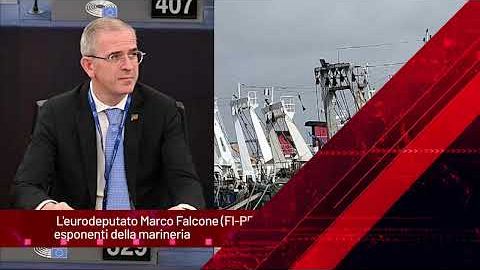 TG NEWS del 30 Ottobre 2024