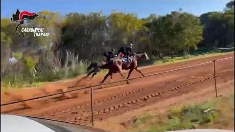 ​Corse clandestine in ippodromo abusivo, 5 misure cautelari anche per maltrattamenti e doping sui cavalli