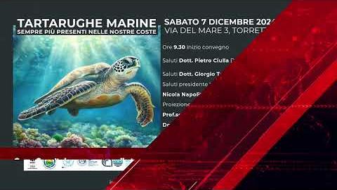 PRIMANEWS del 3 dicembre 2024